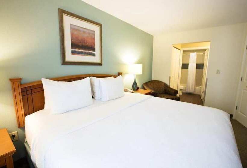 Suite, Staybridge Suites Houston West   Energy Corridor, An Ihg