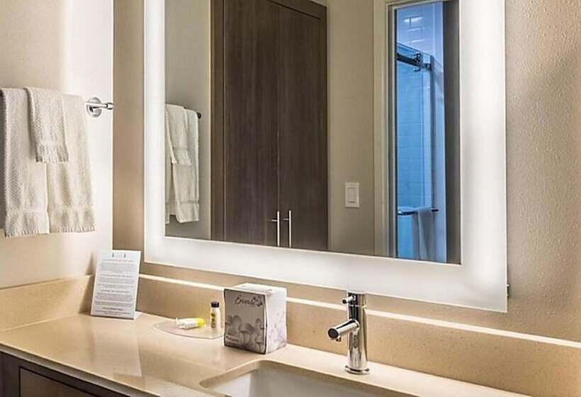 Люкс 2 Спальни, Staybridge Suites Houston West   Energy Corridor, An Ihg