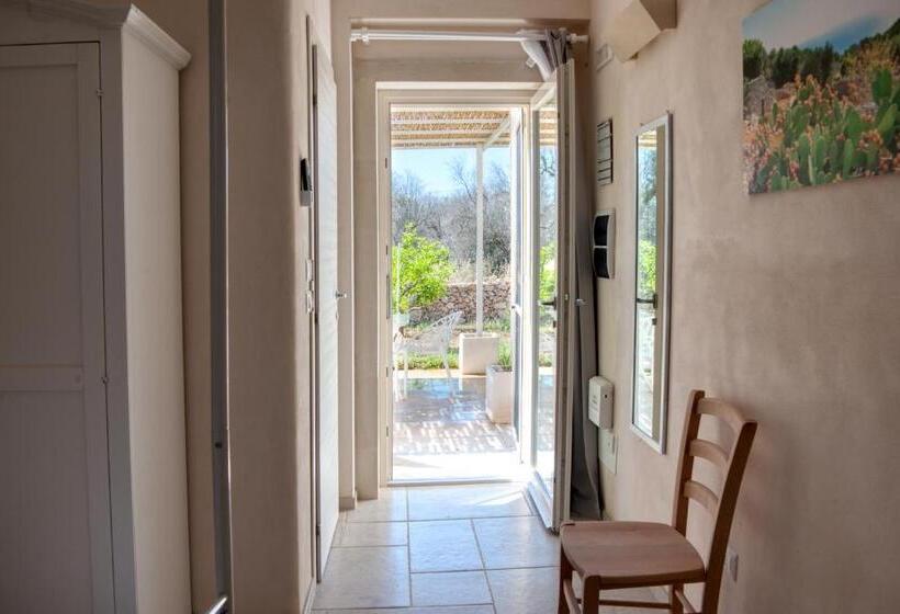 标准工作室, Cuti Mari