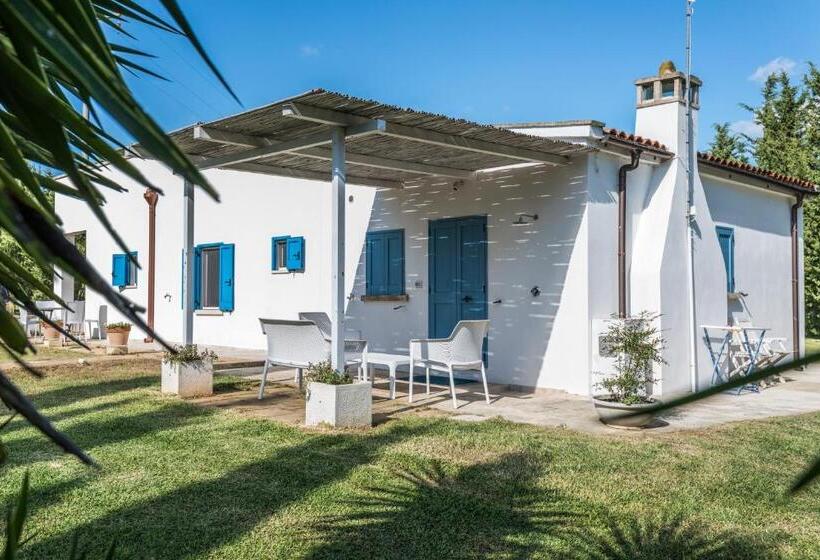 1间卧室的房子, Cuti Mari