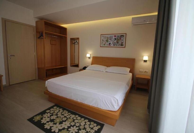 اتاق استاندارد با چشم‌انداز باغ, Ari 2