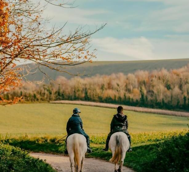 デラックスルーム, The Ram Inn