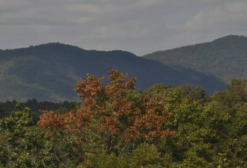 오두막, Treetops Mtn View Cabin Near Ocoee River