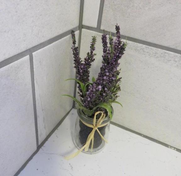 Номер Стандарт, Bankhouse B&b