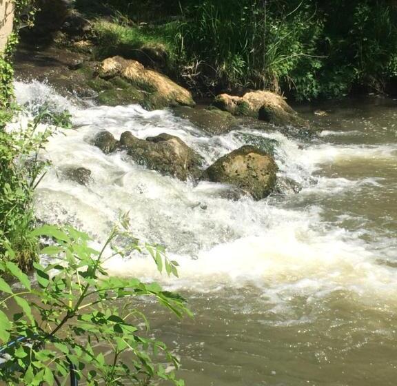 标准房带园景, Moulin De Champrond Montmirail Sarthe