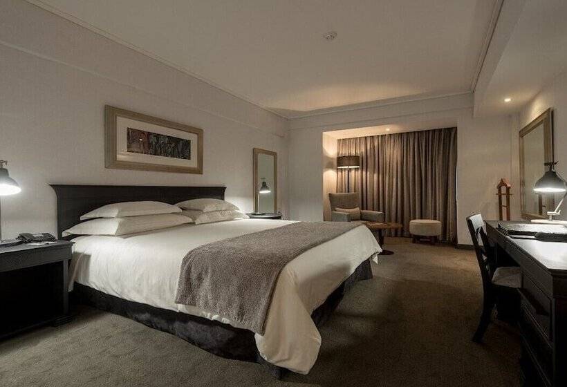 スタンダードルーム, Avenida