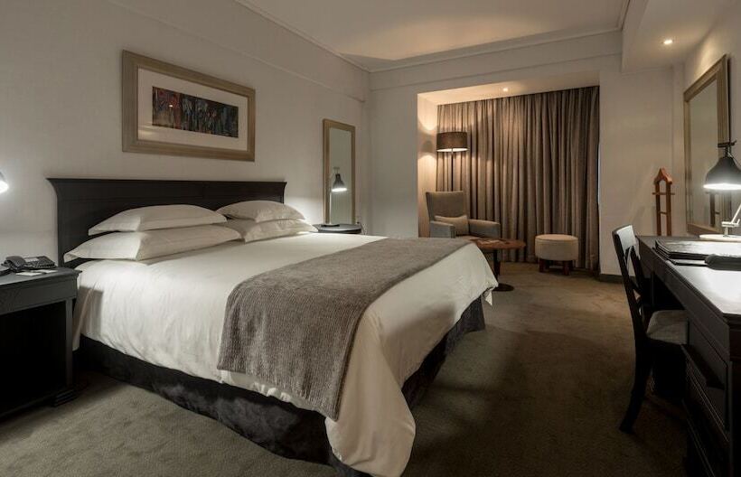 スタンダードルーム, Avenida