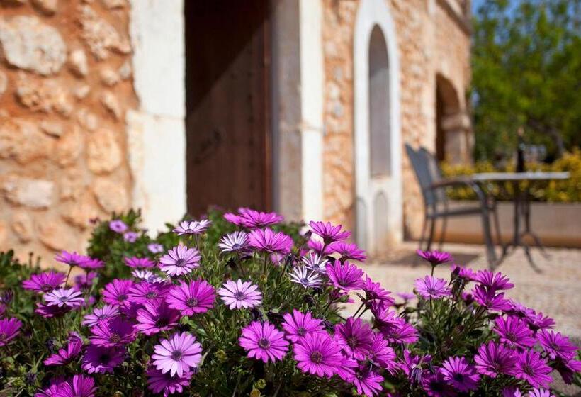 スイート（家族用）, Agroturismo Es Quatre Cantons