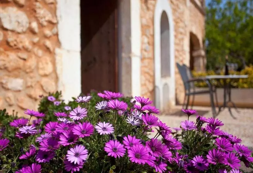 سوییت خانوادگی, Agroturismo Es Quatre Cantons