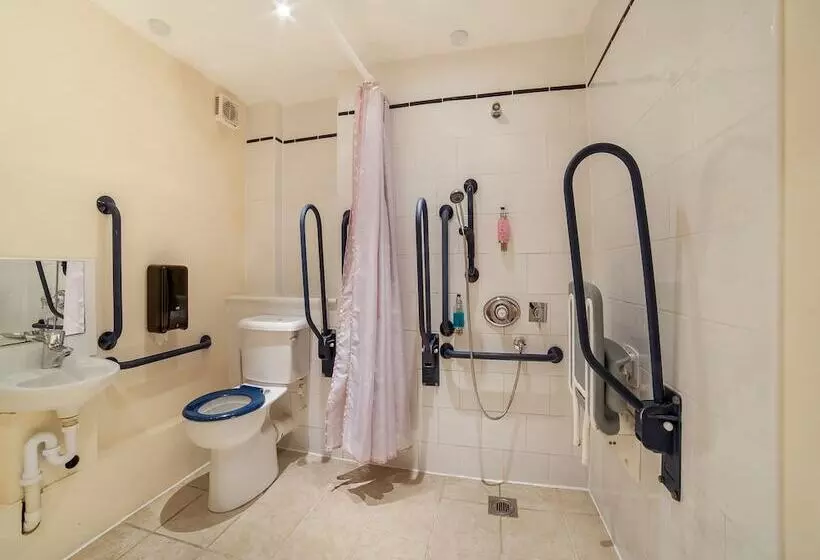 اتاق سوپریور چهار تخته, Flagship Winford Manor