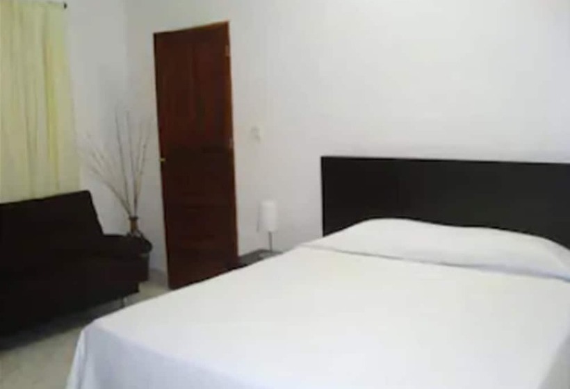 スタンダードルーム, Park