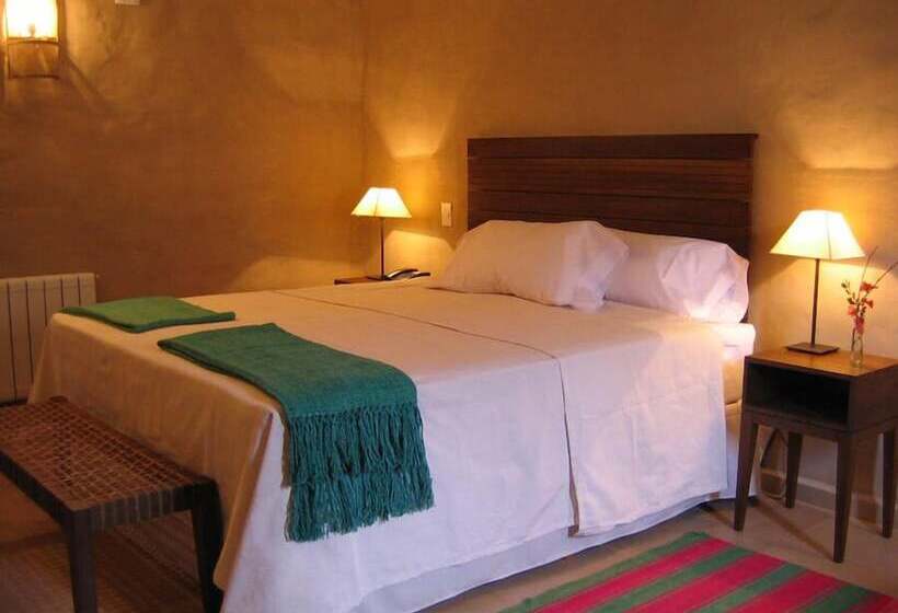 Номер Стандарт, Vientonorte