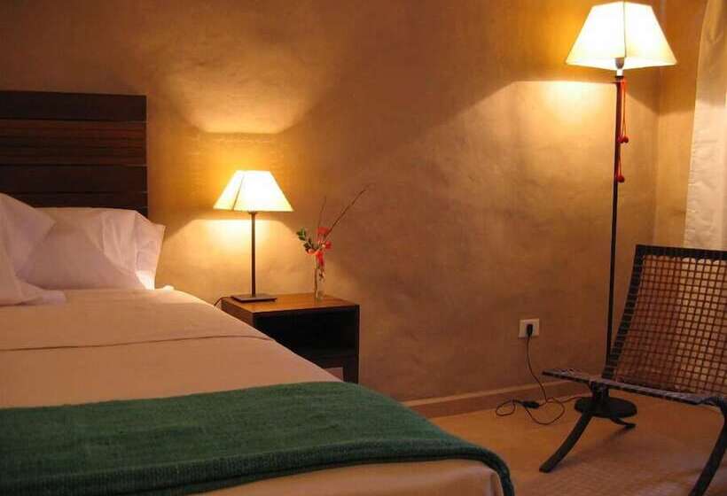 Номер Стандарт, Vientonorte