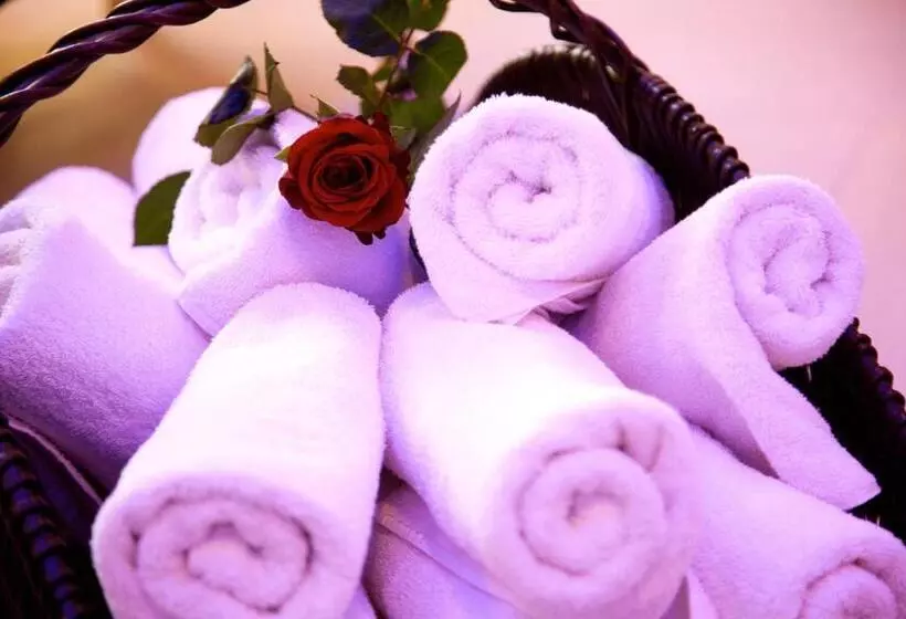 اتاق استاندارد یک نفره, Ambiente Wellness & Spa