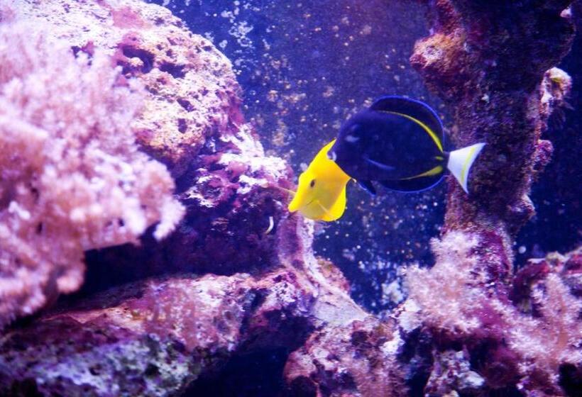 标准单人间, Ambiente Wellness & Spa