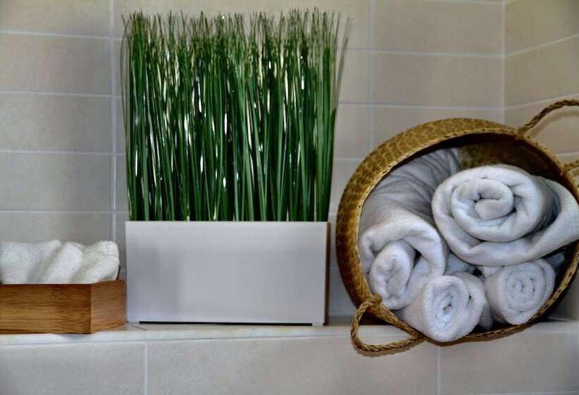 스탠다드 싱글 룸, Casas Heddy, Wellbeing Resort