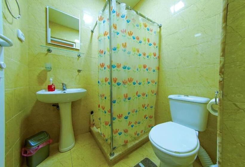 اتاق خانوادگی, House 1899