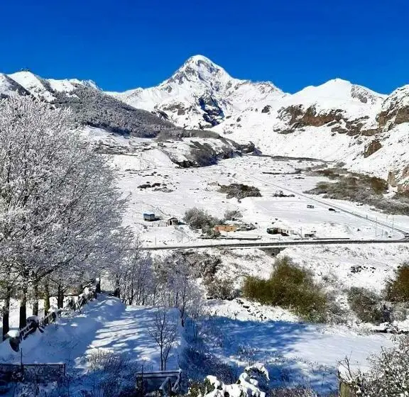 اتاق استاندارد با تخت بزرگ, Kazbegi Inn