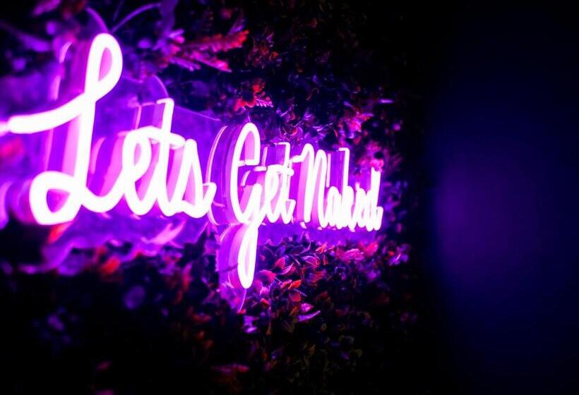 Номер Стандарт, The Lazy Pug