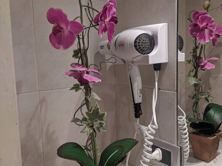 غرفة سوبيريور رباعية, Inkai