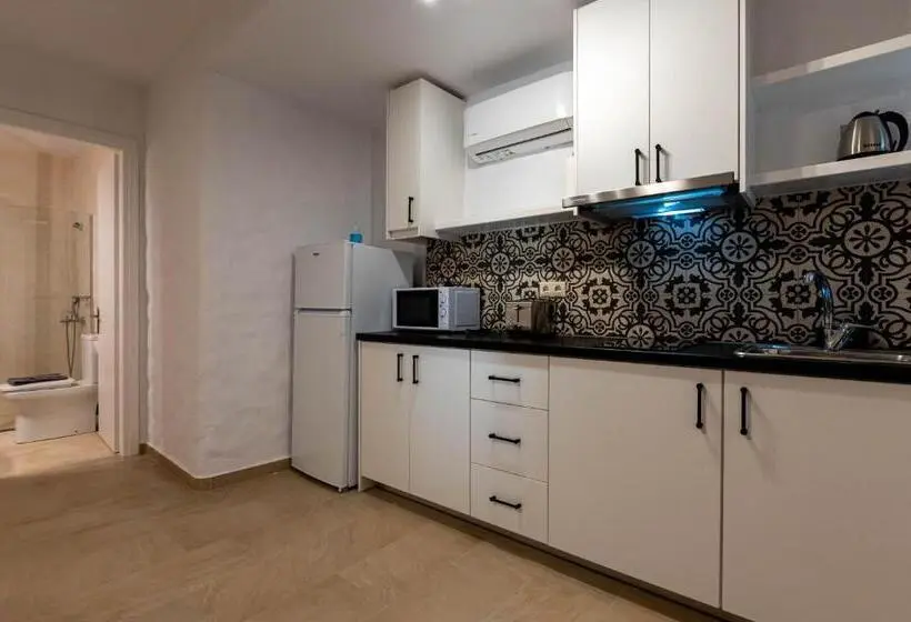 １ベッドルームアパートメント, Abeloessa Methonian Hospitality