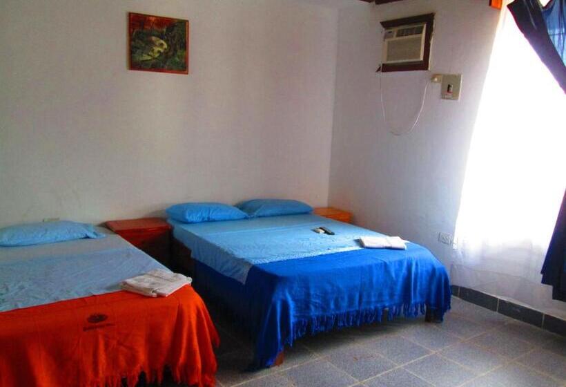 חדר סטנדרט לארבעה, Huito