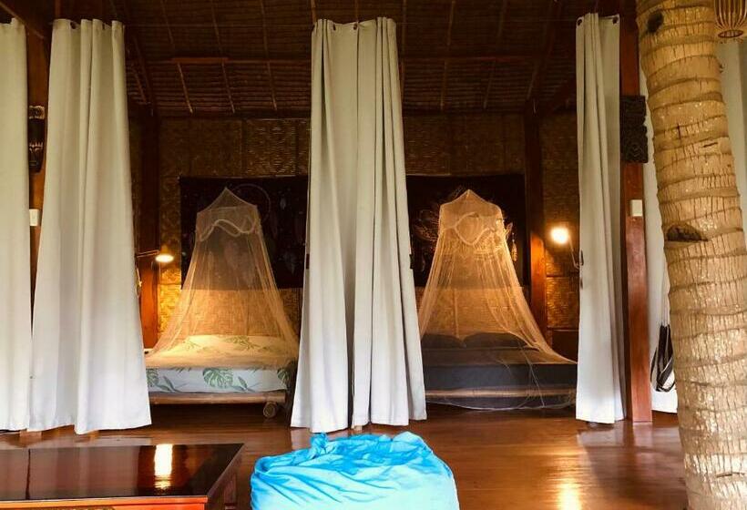 经济房, Nautilus Hostel & Hammocks