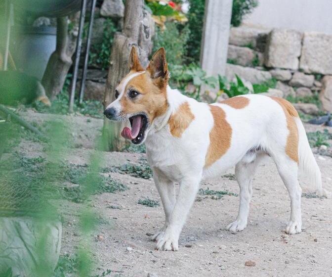 شقة غرفتين نوم مطلة على حمام السباحة, Quinta De Fiães