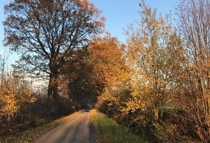 标准单人间, Pünjer