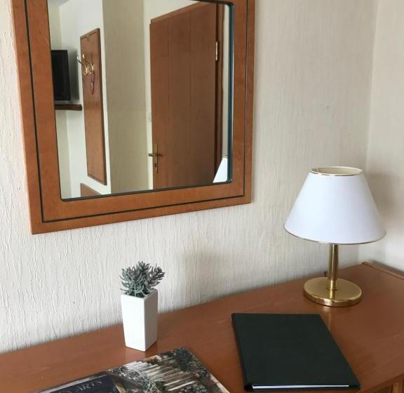 标准单人间, Pünjer