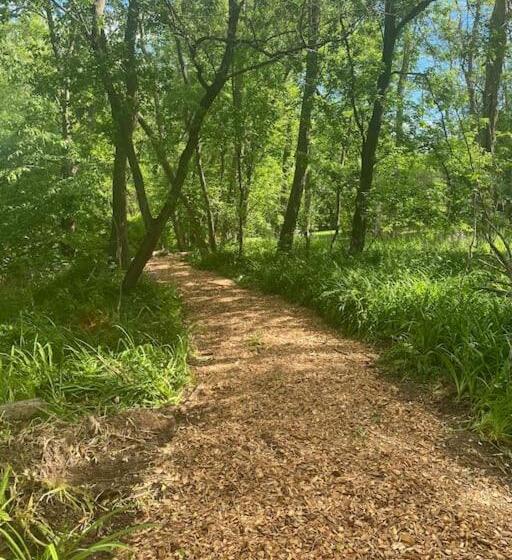 חדר סטודיו סטנדרד, Murphys Law Inn 7