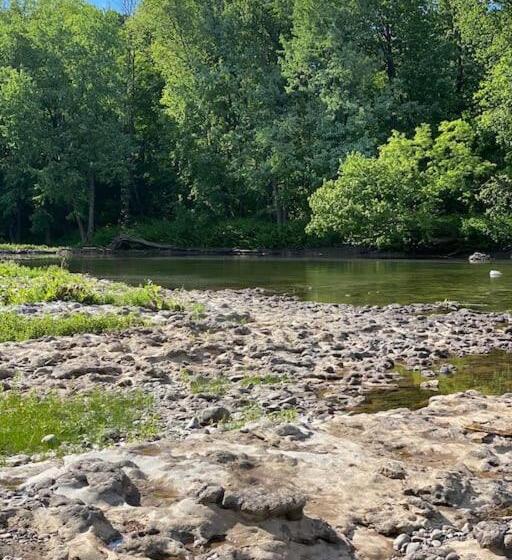 חדר סטודיו סטנדרד, Murphys Law Inn 7