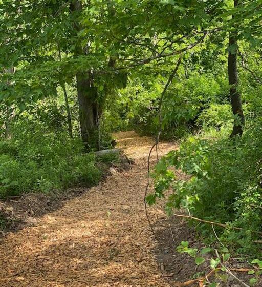 חדר סטודיו סטנדרד, Murphys Law Inn 7