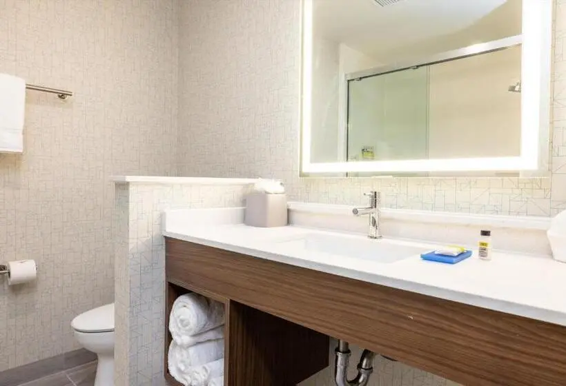 キングサイズベッドのスタンダードルーム, Holiday Inn Express & Suites   San Jose Silicon Valley By Ihg