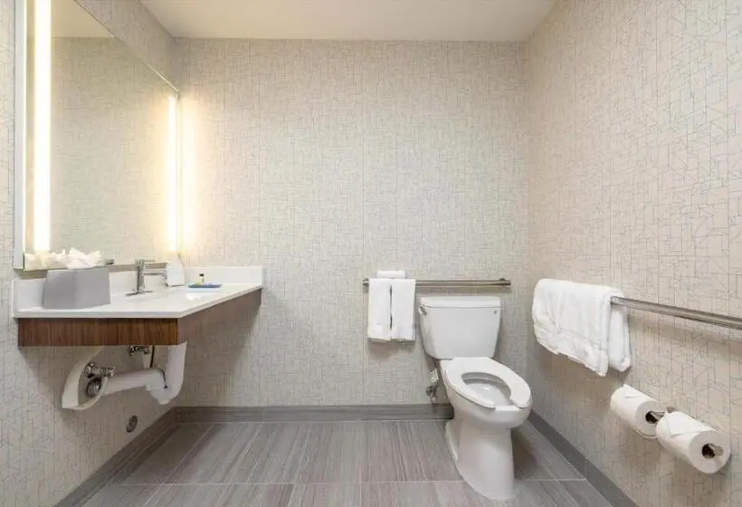 身障者適用キングサイズベッドルーム, Holiday Inn Express & Suites   San Jose Silicon Valley By Ihg