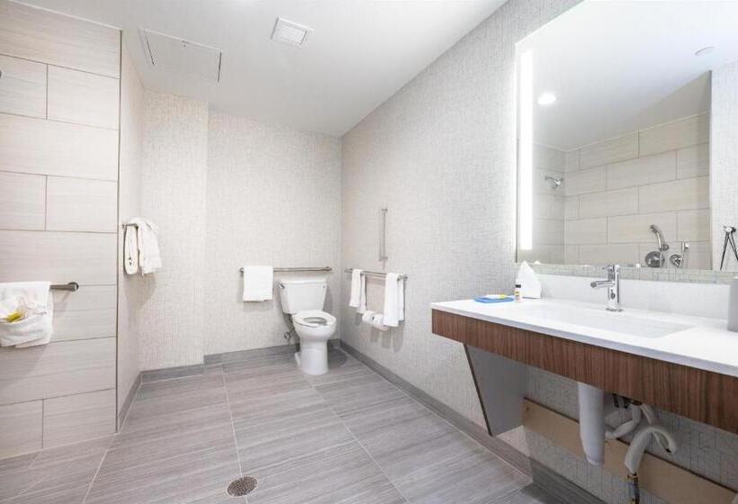 غرفة قياسية سرير كينج لذوى الإحتياجات الخاصة, Holiday Inn Express & Suites   San Jose Silicon Valley, An Ihg