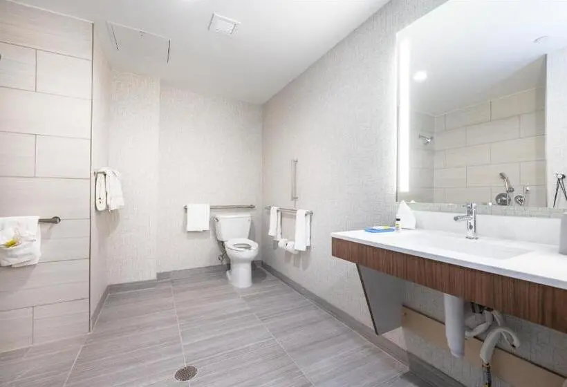 身障者適用キングサイズベッドルーム, Holiday Inn Express & Suites   San Jose Silicon Valley By Ihg