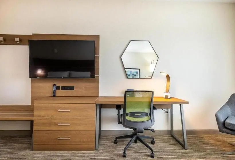 身障者適用キングサイズベッドルーム, Holiday Inn Express & Suites   San Jose Silicon Valley By Ihg