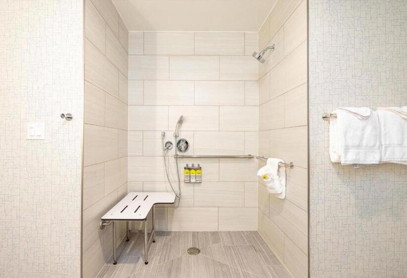 غرفة قياسية سرير كينج لذوى الإحتياجات الخاصة, Holiday Inn Express & Suites   San Jose Silicon Valley, An Ihg