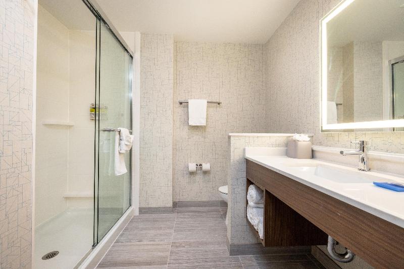 带大床的标准间, Holiday Inn Express & Suites   San Jose Silicon Valley, An Ihg