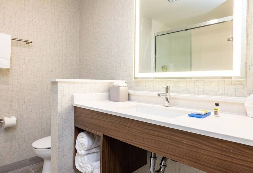标准间, Holiday Inn Express & Suites   San Jose Silicon Valley, An Ihg