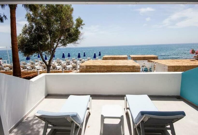 اتاق استاندارد, Mojo Otel Beach