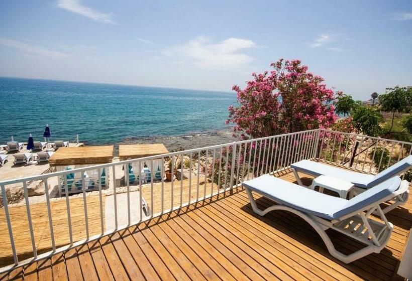 スタンダードルーム, Mojo Otel Beach