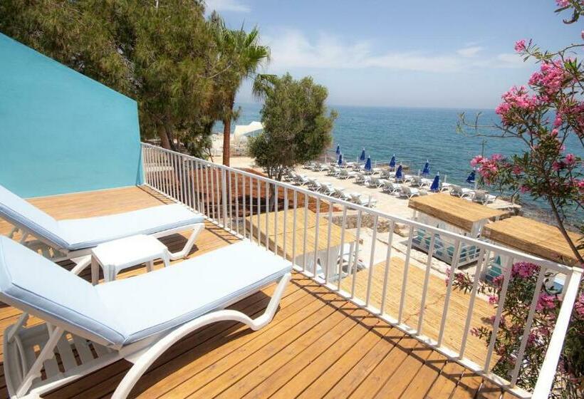 اتاق استاندارد, Mojo Otel Beach