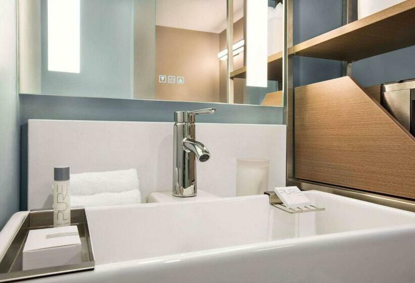 带大床的豪华间, Wingate By Wyndham Bronx Haven Park