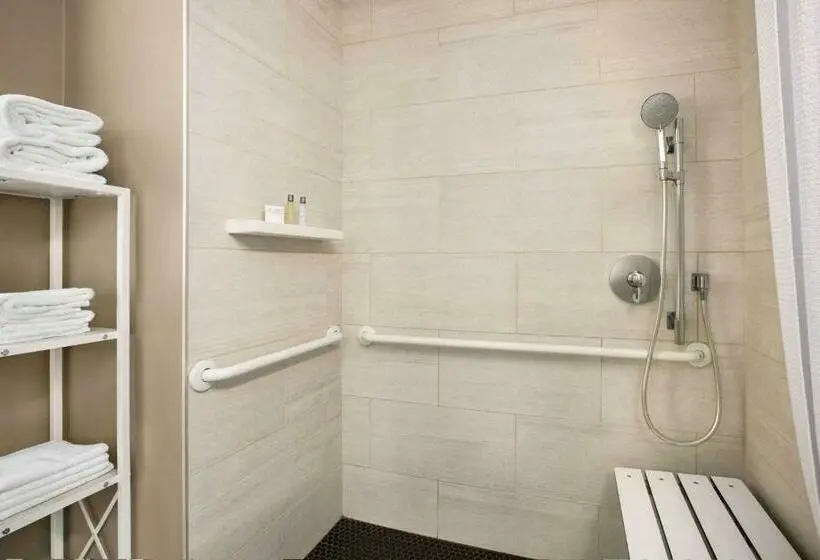 اتاق دلوکس مخصوص معلولین, Wingate By Wyndham Bronx Haven Park