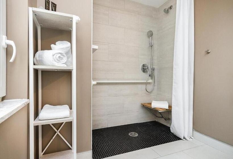 适用于残疾人士的豪华房间, Wingate By Wyndham Bronx Haven Park