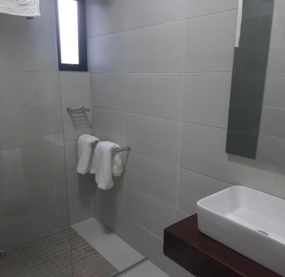 غرفة قياسية, Terra Guest House