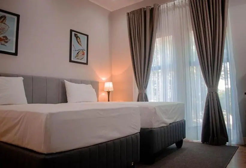 スタンダードルーム, Terra Guest House