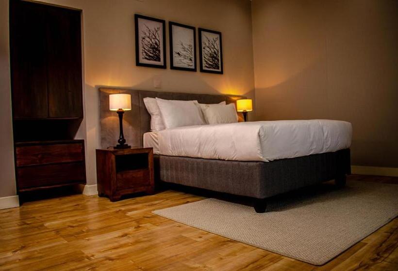 غرفة سوبيريور, Terra Guest House